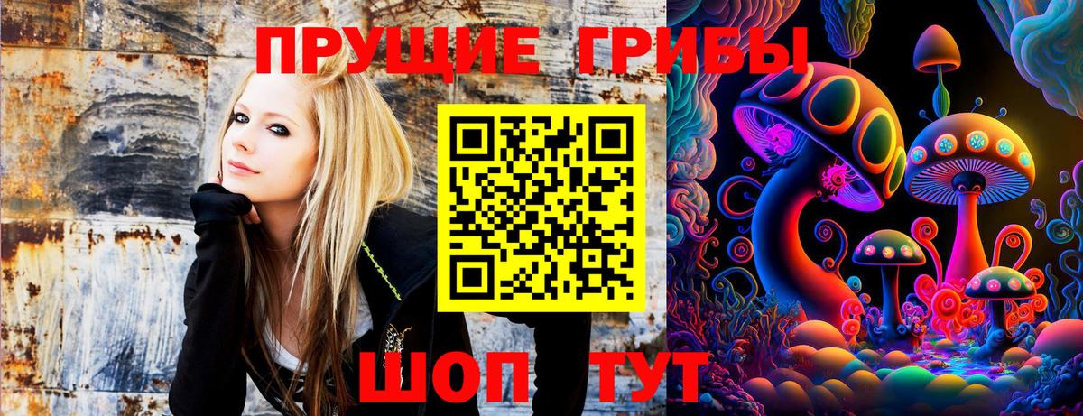 купить наркоту  Вход с VPN  Благовещенск  Псилоцибиновые грибы мицелий 